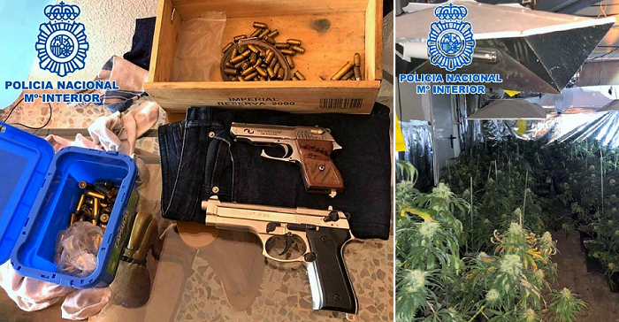 Policía Nacional_Cannabis sativa.png