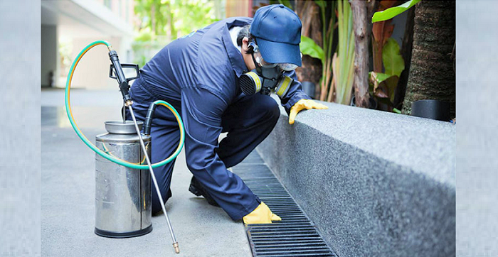 La Concejalía de Medio Ambiente de Nerja activa una campaña de desinsectación y desratización