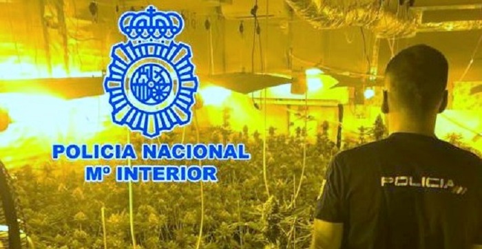 La Policía Nacional detiene a dos hombres por plantar marihuana en dos habitaciones de su vivienda en Padul.jpg