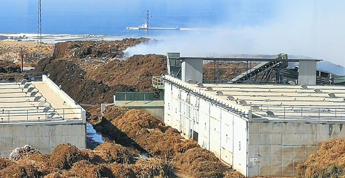 Controlado el incendio de la planta de residuos vegetales de Motril.jpg