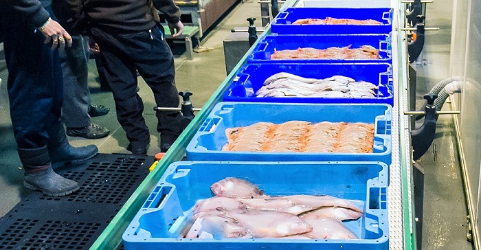 Diez millones más de presupuesto para ayudas que respaldan la transformación de productos pesqueros y acuícolas