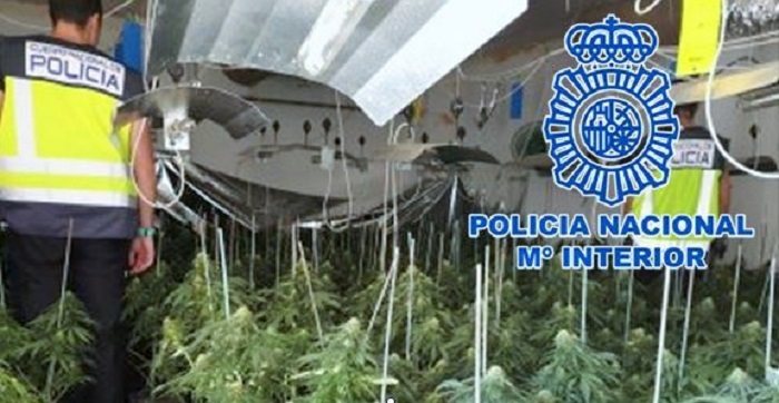 La Policía Nacional desmantela dos centros de producción de marihuana y derivados con cinco detenciones.jpg
