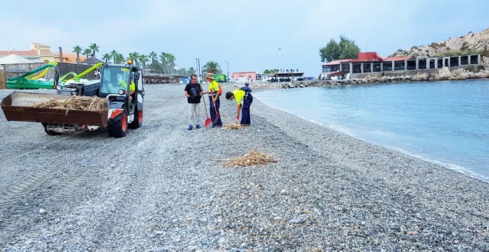 Operarios municipales limpian cañaveras y restos de pesca de las playas de Salobreña de cara al fin de semana.jpg