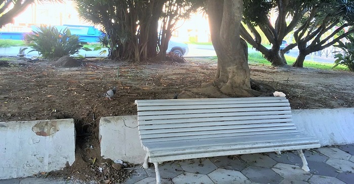 El PSOE pide la modernización urbana de la zona de los Caños de la Carrera.jpg