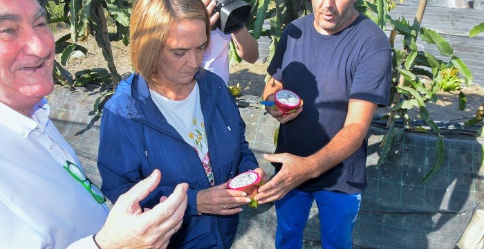 La alcaldesa reafirma el compromiso del Ayto. de Motril de apoyar a los pequeños productores hortofrutícolas.jpg