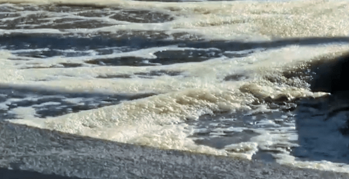 VOX, acusación particular en el proceso por delito medioambiental por falta de depuración de aguas en la Costa