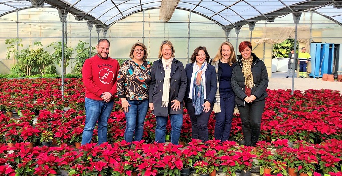 El Ayto. de Motril plantará 4.500 pascueros en los parques y jardines de todo el término municipal.jpg