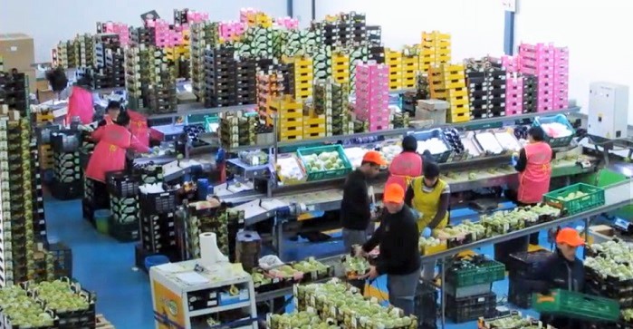 Corrida frutas Almuñécar.jpg