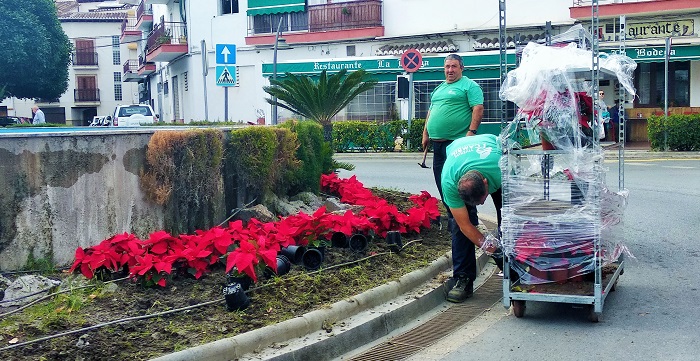 El Ayto. de Salobreña adorna con pascueros diversas zonas del municipio.jpg