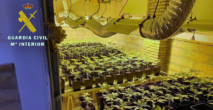 La Guardia Civil interviene más de 650 plantas de cannabis sativa en Huétor Vega y Fuente Vaqueros.jpg