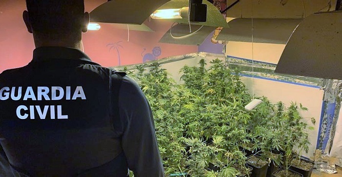 La Guardia Civil pone a disposición judicial a 5 personas por cultivo de droga y defraudación de fluido eléctrico