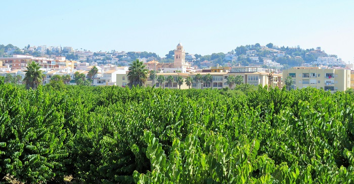 Sandovala Almuñécar