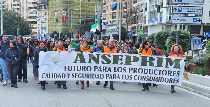 El PSOE de Carchuna y Calahonda acude a las movilizaciones de Algeciras