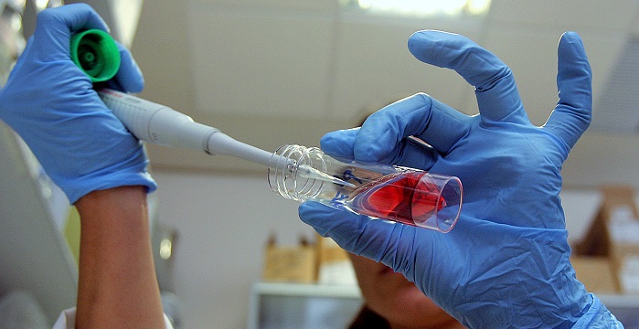 Investigación, ciencia, I+D+i.jpg