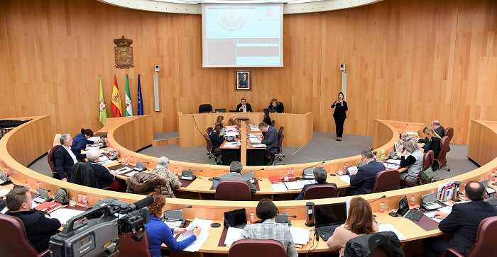 Pleno Diputación Granada enero 2020