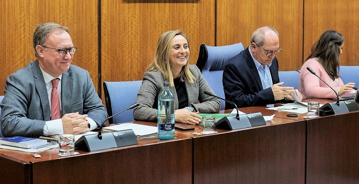 La remodelación del primer tramo del eje Arabial-Palencia se adjudicará en marzo