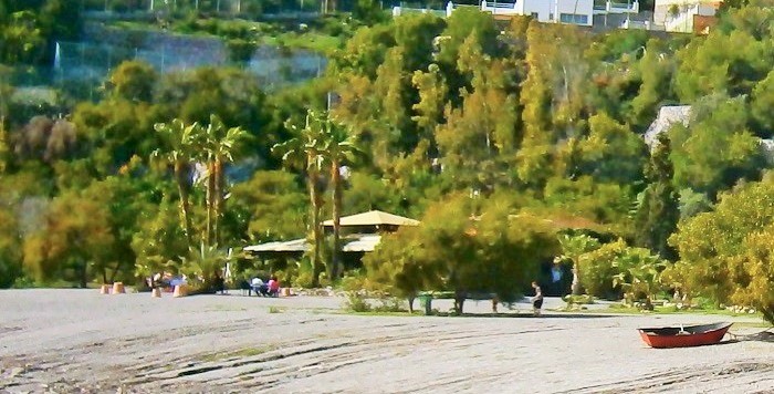 OLYMPUS DIGITAL CAMERA