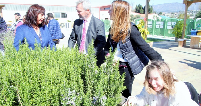 Diputación colabora con APROSMO para la instalación de un parque de columpios inclusivo