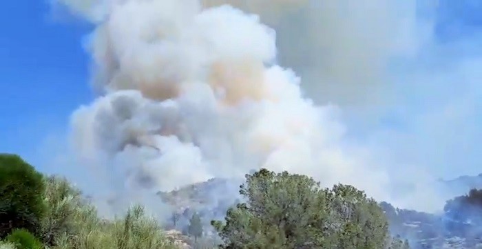 Incendio Vélez de Benaudalla