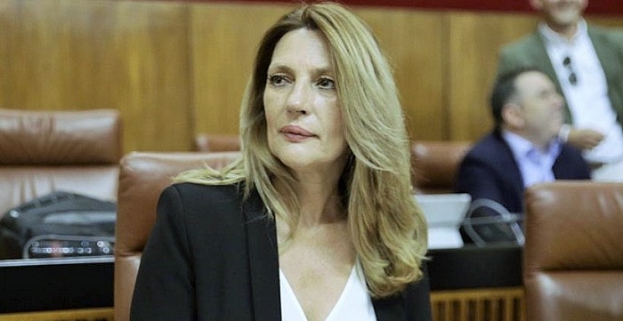 Insúa destaca el impulso laboral y económico del nuevo Decreto-Ley de mejora y simplificación administrativa