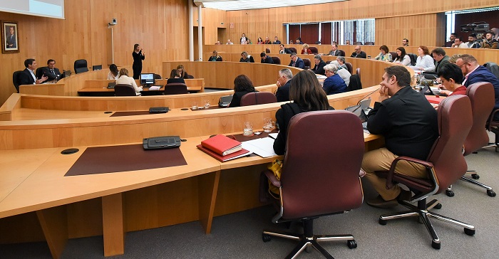Pleno Diputación marzo 2020