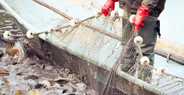 Casi 400.000 euros para potenciar la venta y promoción de productos pesqueros y acuícolas