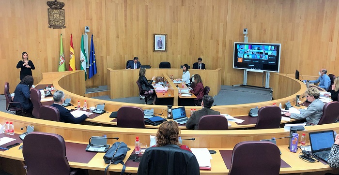 Pleno Diputación abril 2020