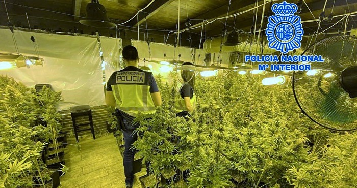 Policía Nacional Marihuna