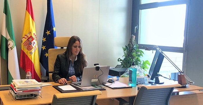 Videoconferencia Virginia Fernández delegada Economía