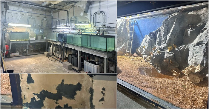 El PSOE lamenta que, un verano más, el Gobierno municipal mantenga cerrado el acuario de&nbsp;Almuñécar